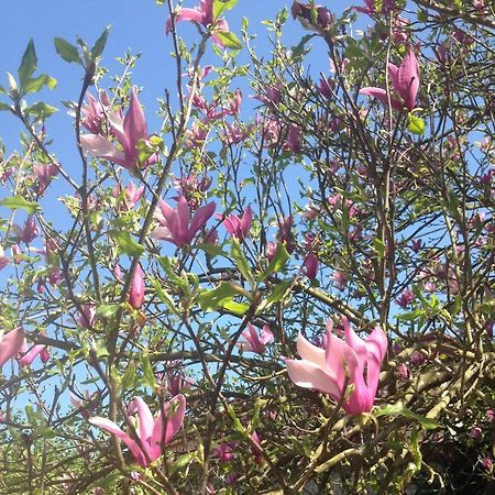 Apartamento La Magnolia Riccò del Golfo di Spezia Exterior foto