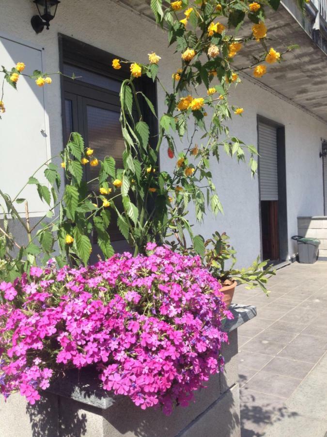 Apartamento La Magnolia Riccò del Golfo di Spezia Exterior foto