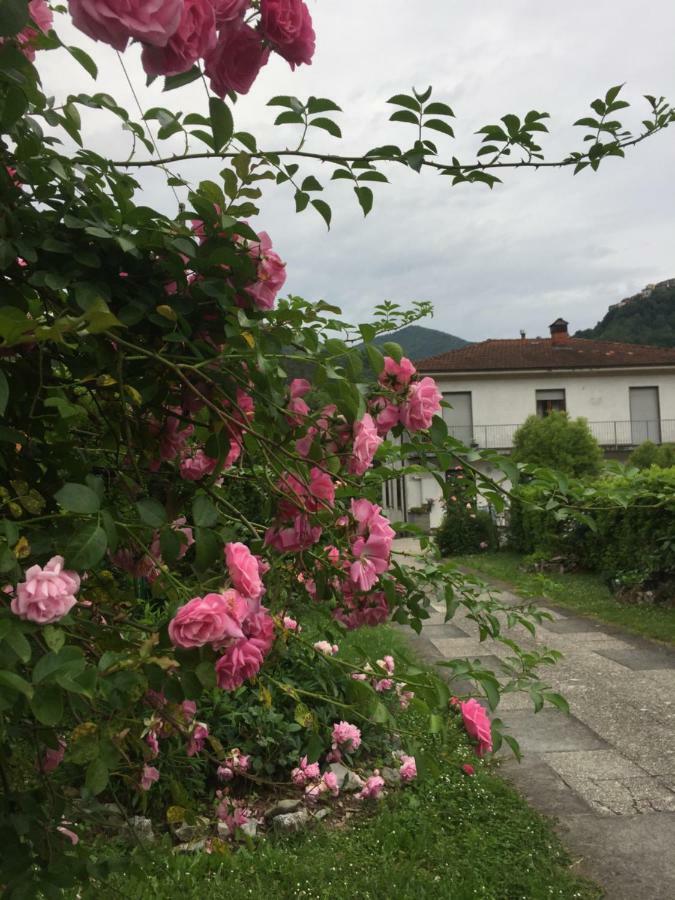 Apartamento La Magnolia Riccò del Golfo di Spezia Exterior foto
