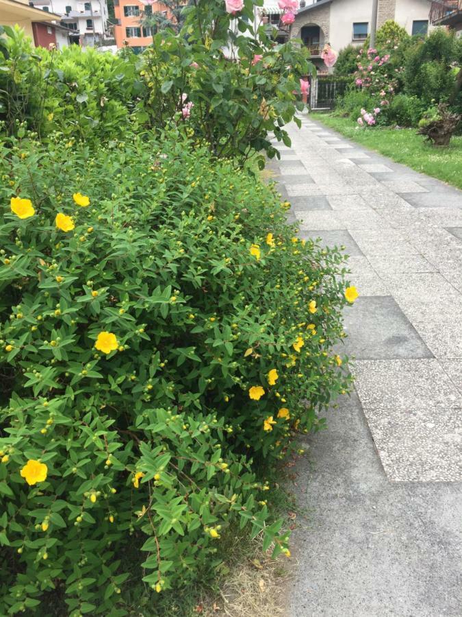 Apartamento La Magnolia Riccò del Golfo di Spezia Exterior foto