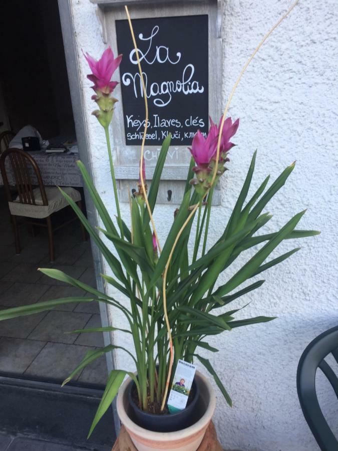 Apartamento La Magnolia Riccò del Golfo di Spezia Exterior foto