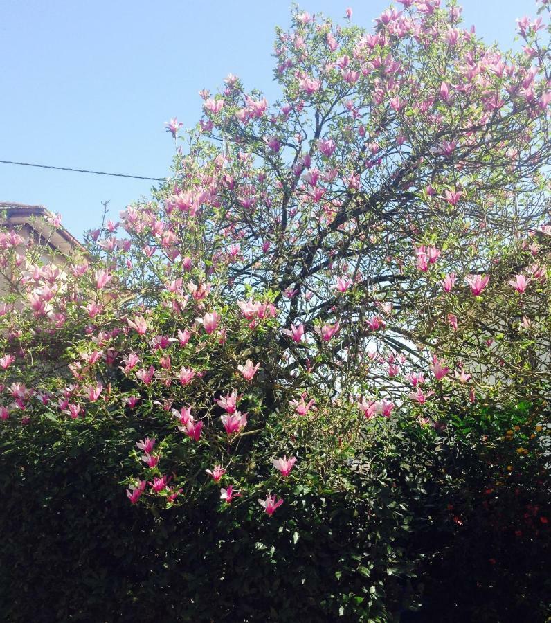 Apartamento La Magnolia Riccò del Golfo di Spezia Exterior foto